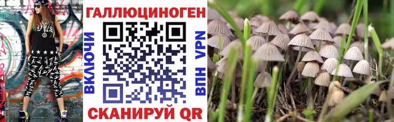 Купить закладки  Юрьев-Польский  Псилоцибиновые грибы мицелий 